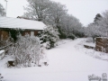 jan-2010