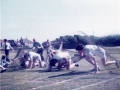 obstacle82